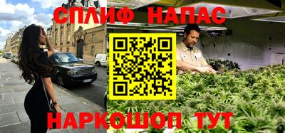 крисы Будённовск