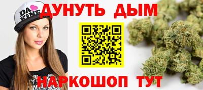 крисы Будённовск