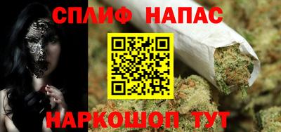 крисы Будённовск